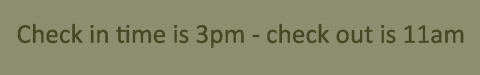 bed and breakfast check in and check out time