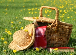 ladies basket lunch