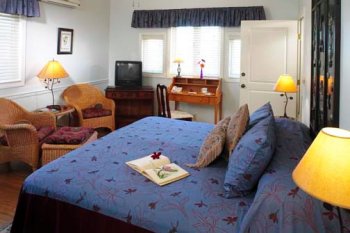 Plumeria Room