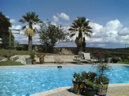 Canyon Lake Ranch Pool