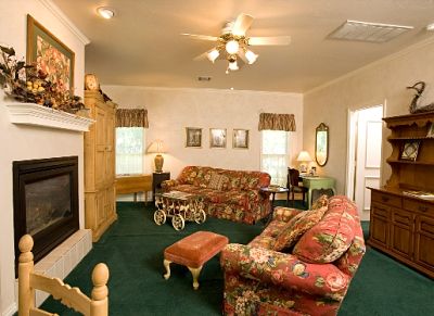 cottage living room with fireplace and sofas