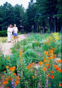 flagstaff arboretum