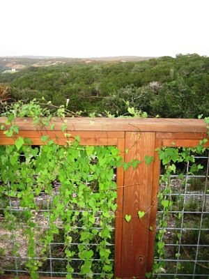 vista verde vacation home tx deck