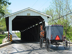 amish buggy in pennsylvania