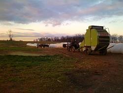 amish harvest farm