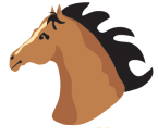 Horse Head