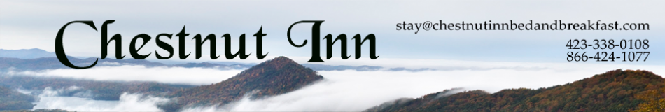 chestnut inn bed and breakfast