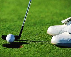 golf putter and golf ball on the green