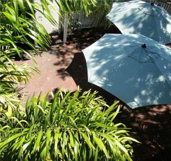 umbrellas at inn at the bay