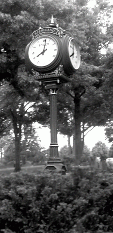 Essence of the Bluegrass Keeneland Lexington Kentucky