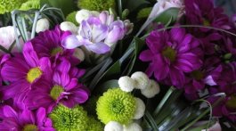 floral close-up