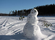 Snow package