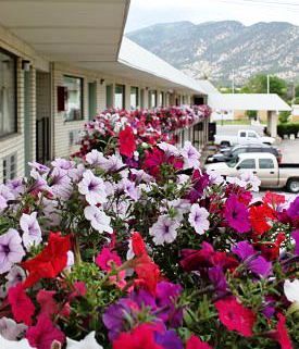 Flowers at Manti Country Village