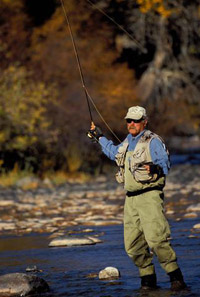 Fly Fisherman
