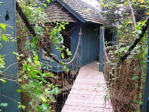 Cottage Treehouse