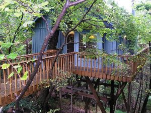 Hidden Oak Treehouse