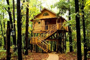 Bungalow treehouse