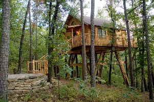 Towering Pines Treehouse