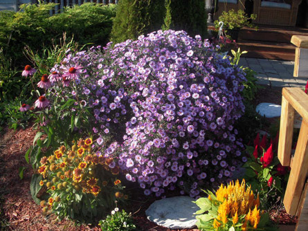 Serenity Ranch Garden