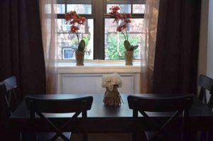 Window View