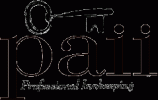 Paii Logo