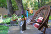 Gardens and Taos Mountain.