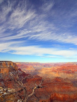The Grand Canyon