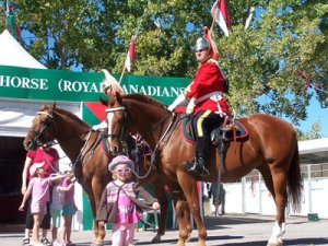 Calgary Stampede soldier man on horse
