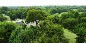 Elm Creek Manor property overhead view