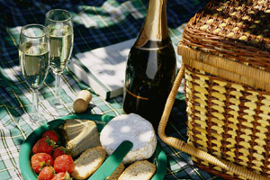 picnic with cheese