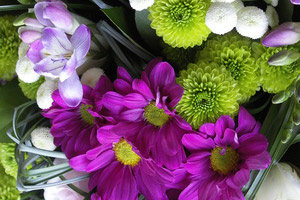 boquet of flowers
