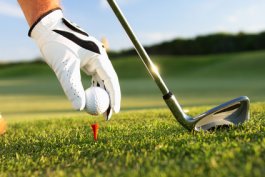 golf club, red golf gee, golf ball, golf course, white golf glove
