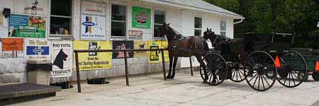 tack and farm related amish country stores