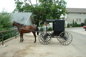 Horse & Buggy picture