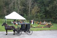 Amish wedding with hors and buggy at The Barn Inn in Ohop