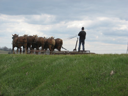History & Haystack Lunch Tour photo