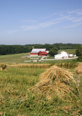 All About Amish Dinner Tour photo