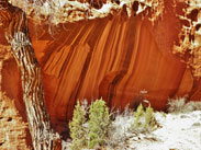 cliffside