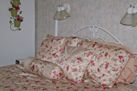 Romantically Rose Pillows