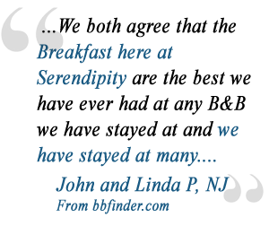 Serendipity B & B testimonial
