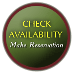 Check Availability Button