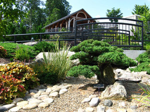Grounds of North Carolina Aboretum