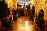 pracht alley nighttime with lights