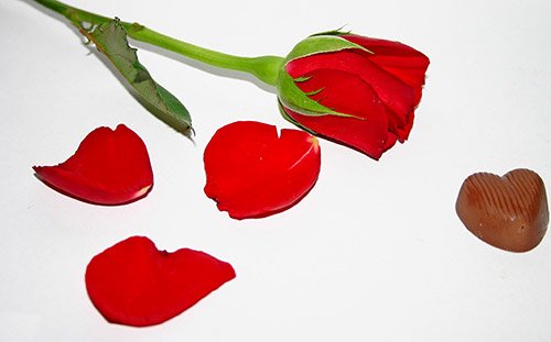 Roses, chocolate, petals