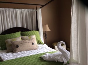 Golden Moments Room