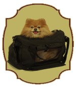 Pet Friendly Bed and Breakfast