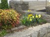 Inn on Church in the Spring time
