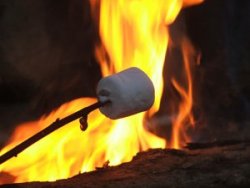 Marshmallow roasting over campfire