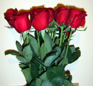 Red Roses