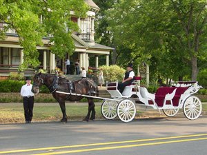 Carriage parked in front of Inn of Many Faces Bed and Breakfast